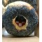 10 Poppy Seed Bagels